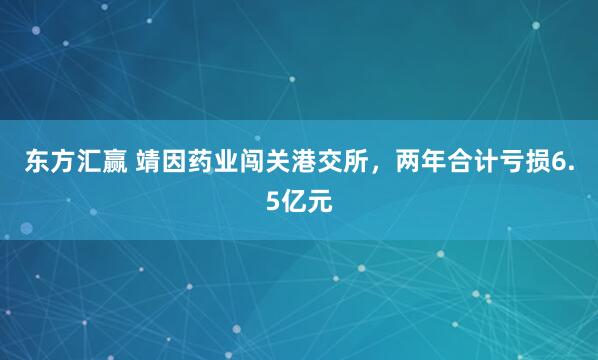 东方汇赢 靖因药业闯关港交所，两年合计亏损6.5亿元