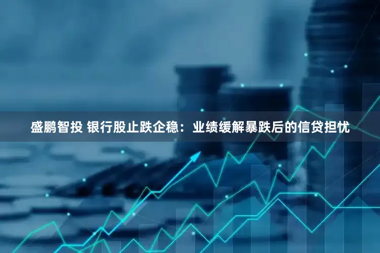 盛鹏智投 银行股止跌企稳：业绩缓解暴跌后的信贷担忧