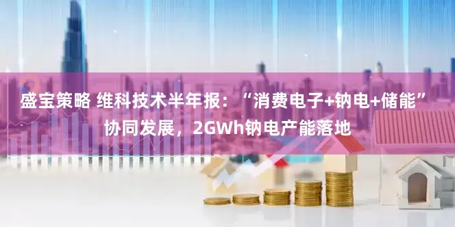 盛宝策略 维科技术半年报：“消费电子+钠电+储能” 协同发展，2GWh钠电产能落地